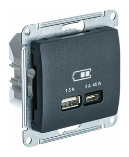 Розетка USB+USB type C Systeme Electric GLOSSA, скрытый монтаж, антрацит, GSL000729