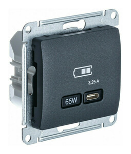 Розетка USB type C Systeme Electric GLOSSA, скрытый монтаж, антрацит, GSL000727
