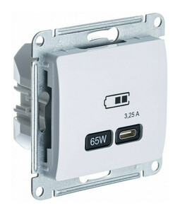 Розетка USB type C Systeme Electric GLOSSA, скрытый монтаж, белый, GSL000127
